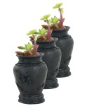 Mini Çiçek Saksı Küçük Sukulent Siyah Kaktüs Saksısı 3lü Set Mini Desenli Vazo Saksı Model